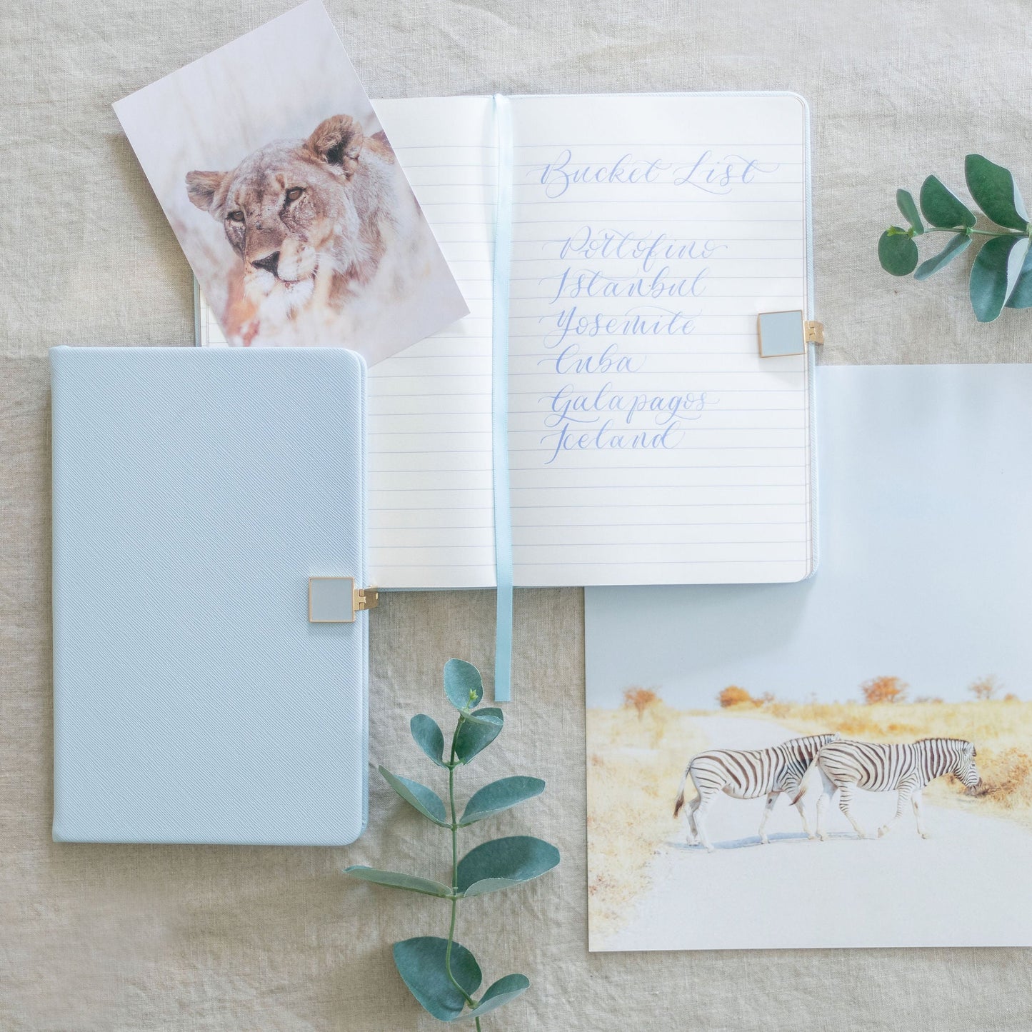 Addison Ross Notebook