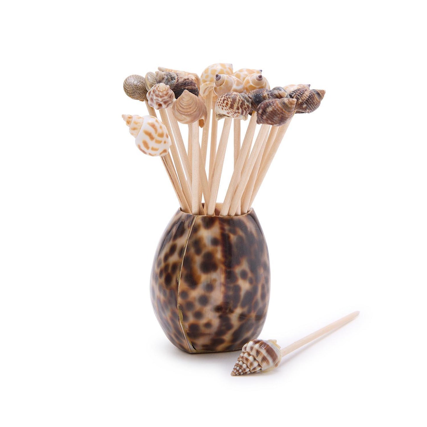 Tiger Cowrie Shell Picks