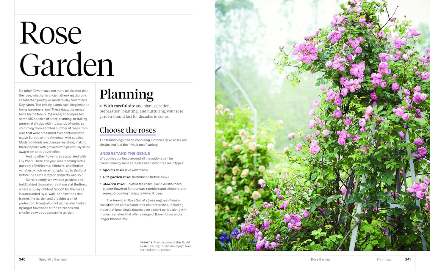 Martha Stewart's Gardening Handbook