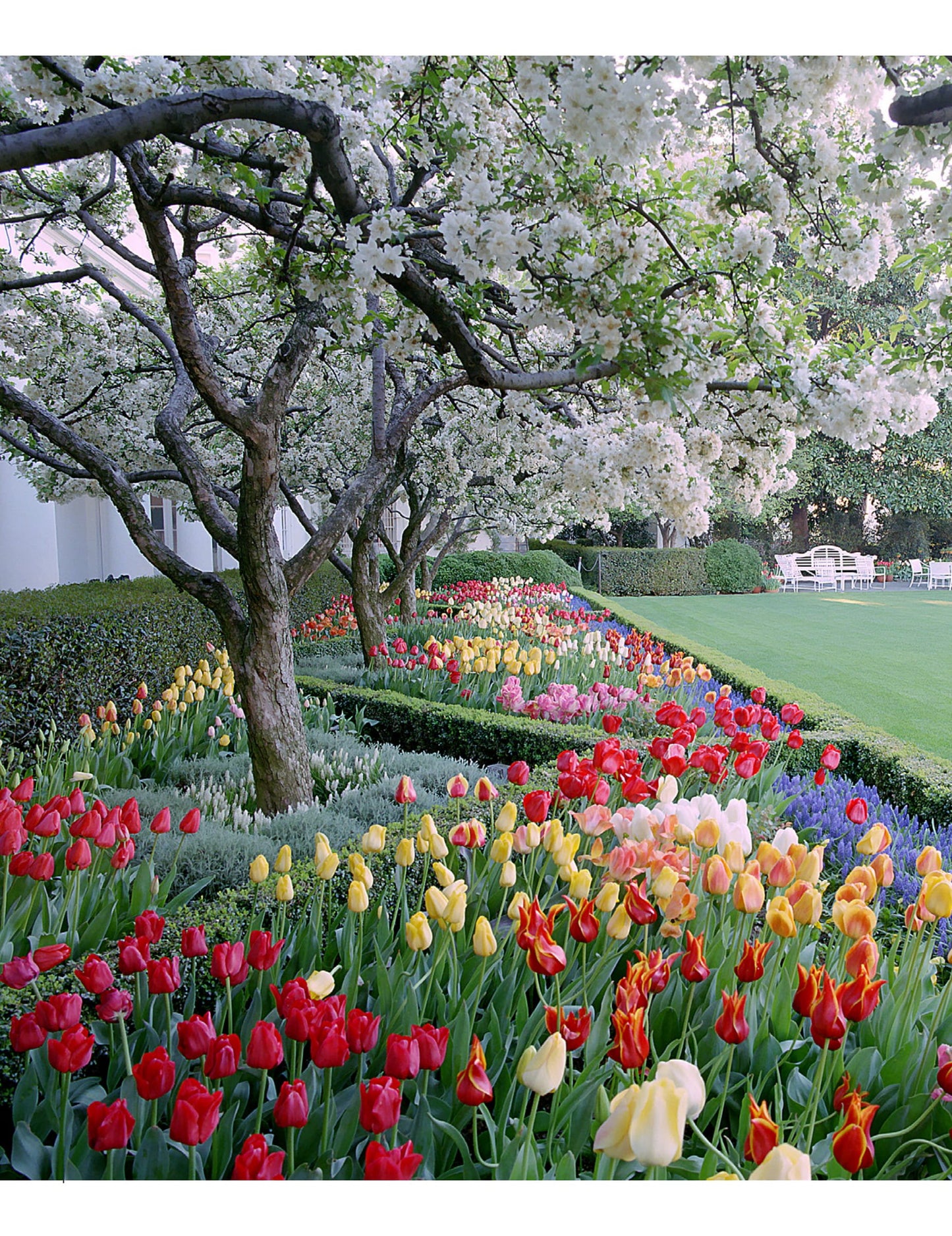 Gardens of Bunny Mellon
