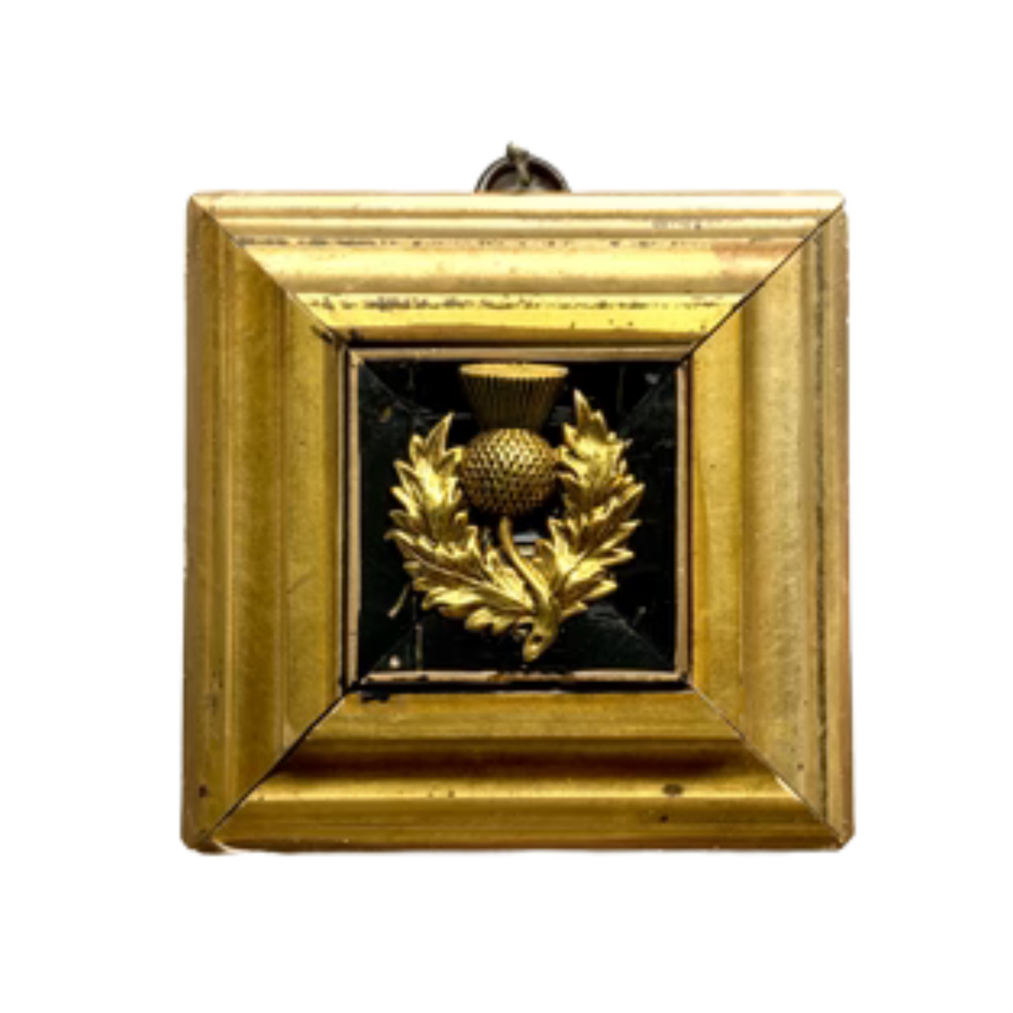 Museum Bees