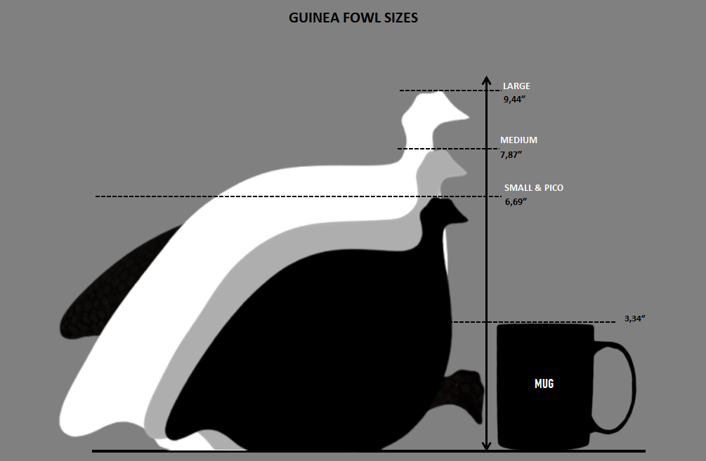 Caillard Ceramic Guinea Fowl - Pecking