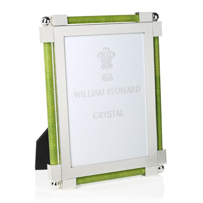 Classic Shagreen Lime Frames