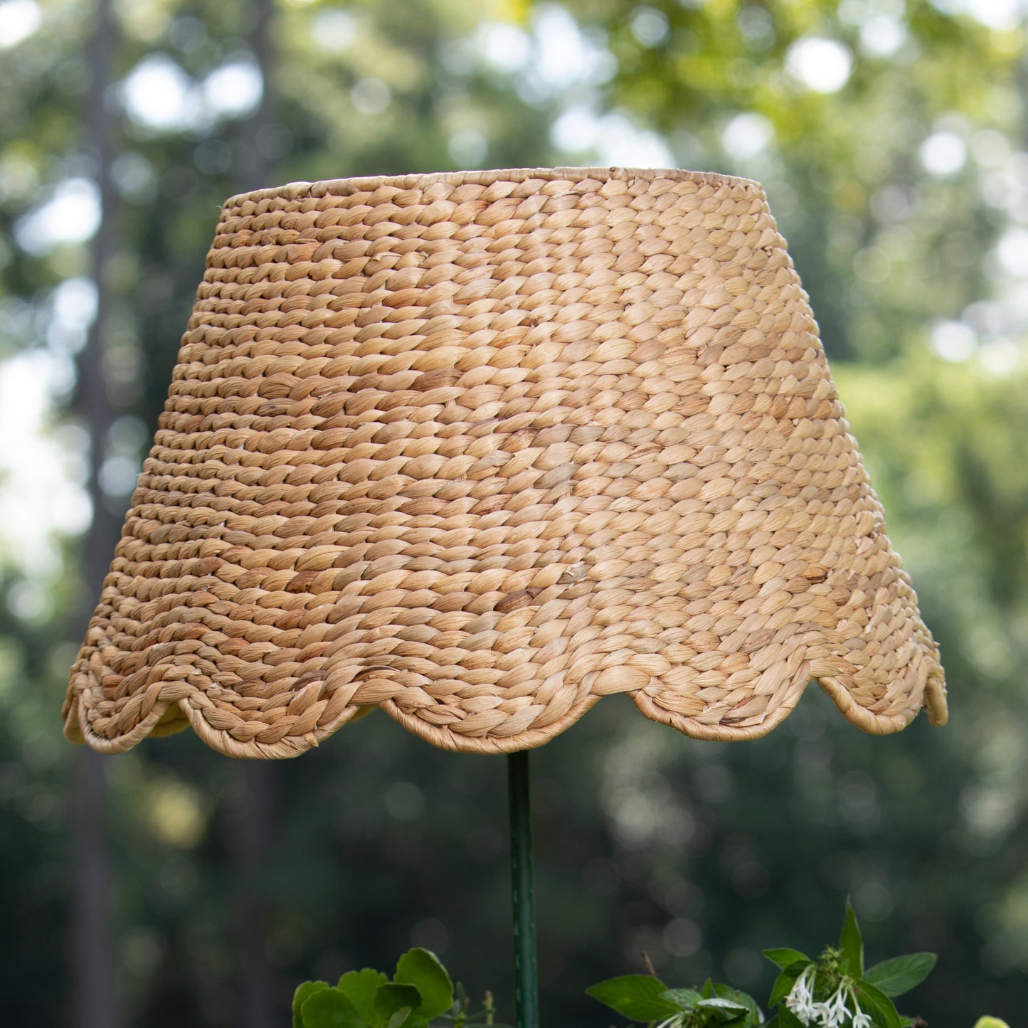 Scalloped Lampshade - Water Hyacinth