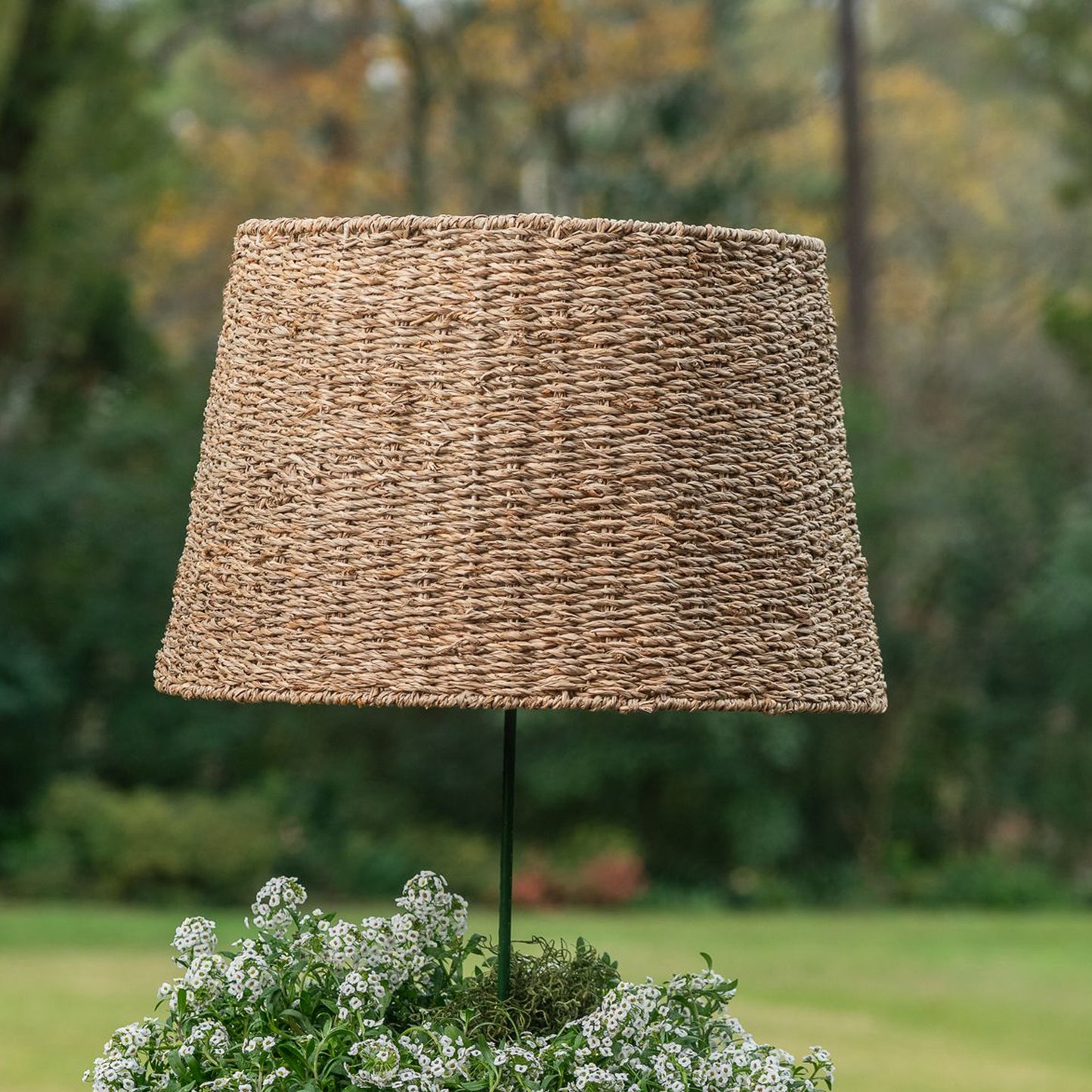 Twisted Seagrass Tapered Drum Lamp Shade