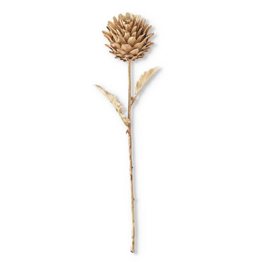 Brown Artichoke Stems