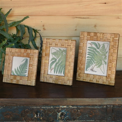 Rattan Cayman Frames