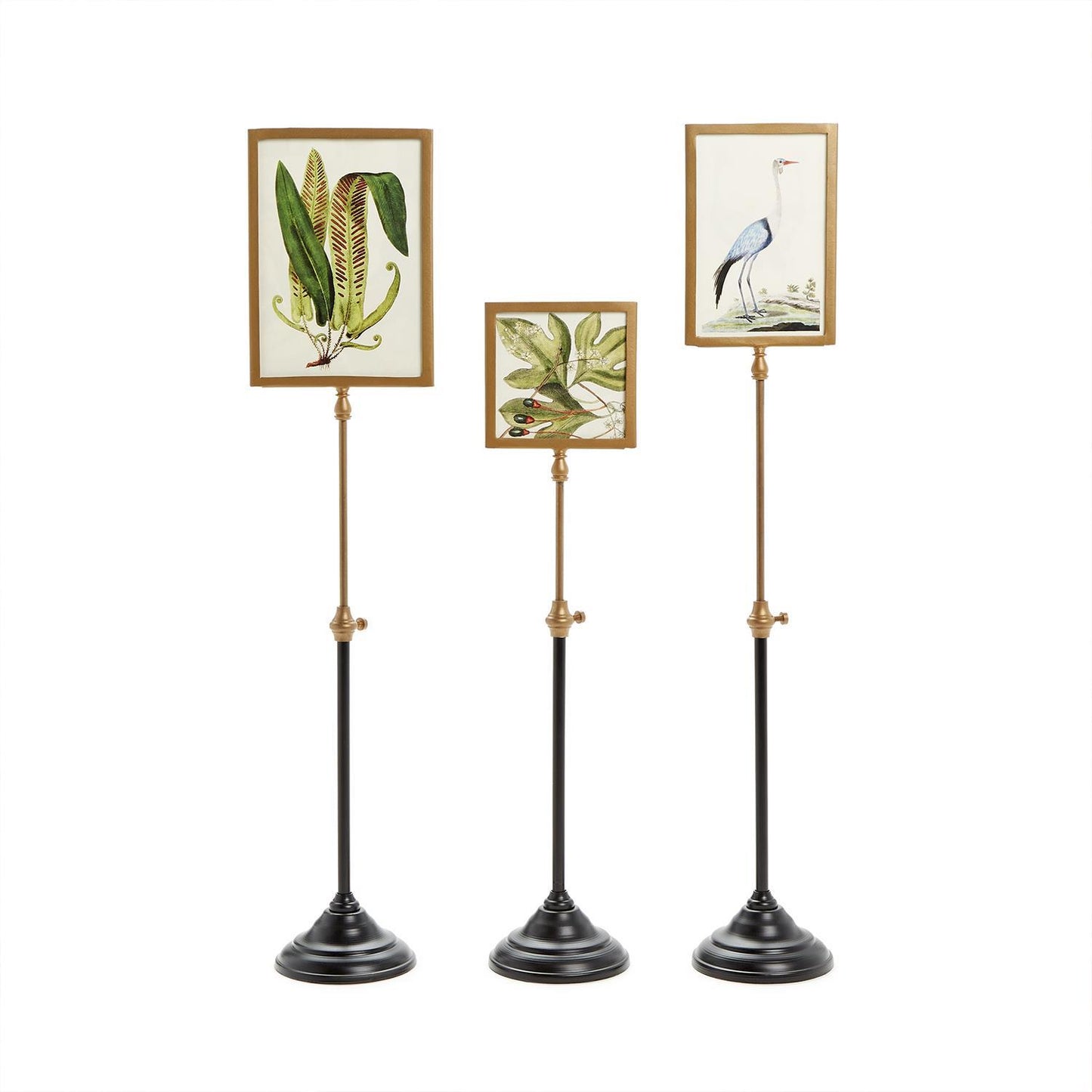 Telescopic Vision Double Sided Photo Frame