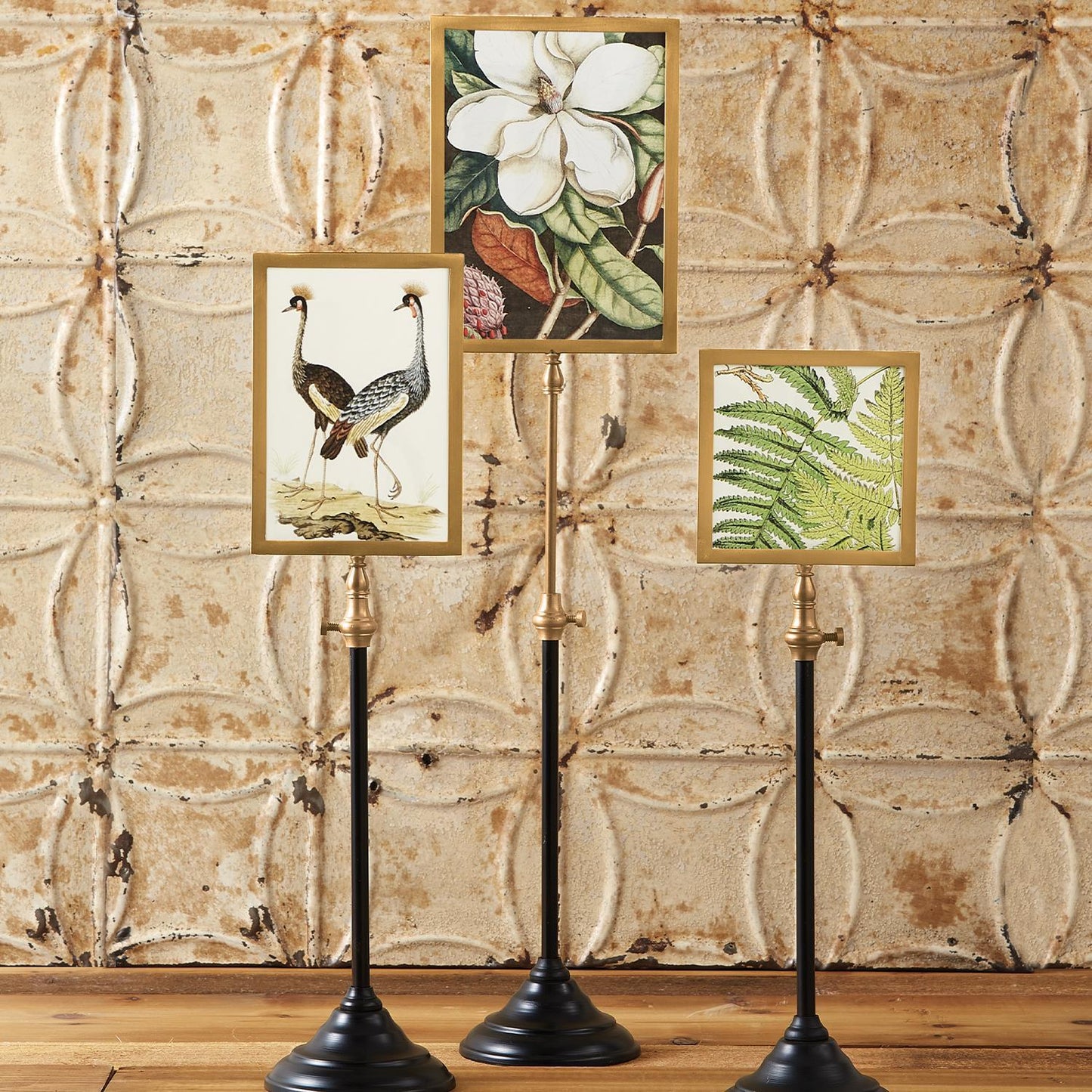 Telescopic Vision Double Sided Photo Frame