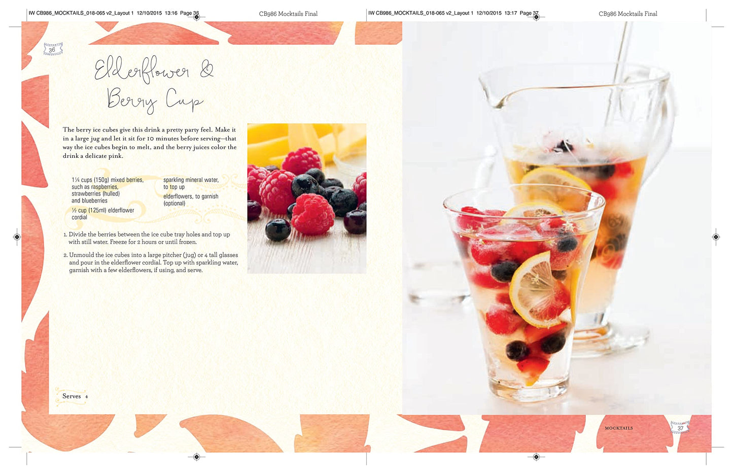 Mocktails, Cordials, Syrups, Infusions, and More