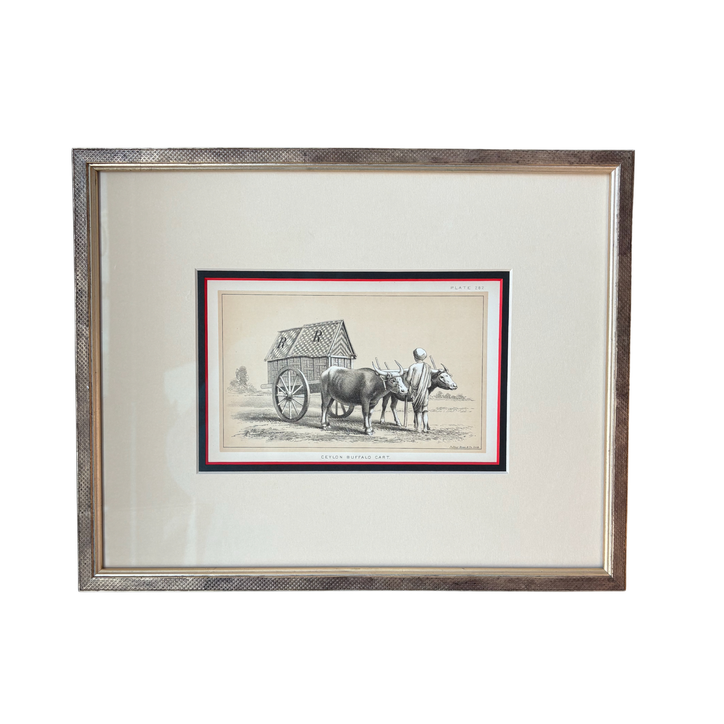 Curated Wall Art