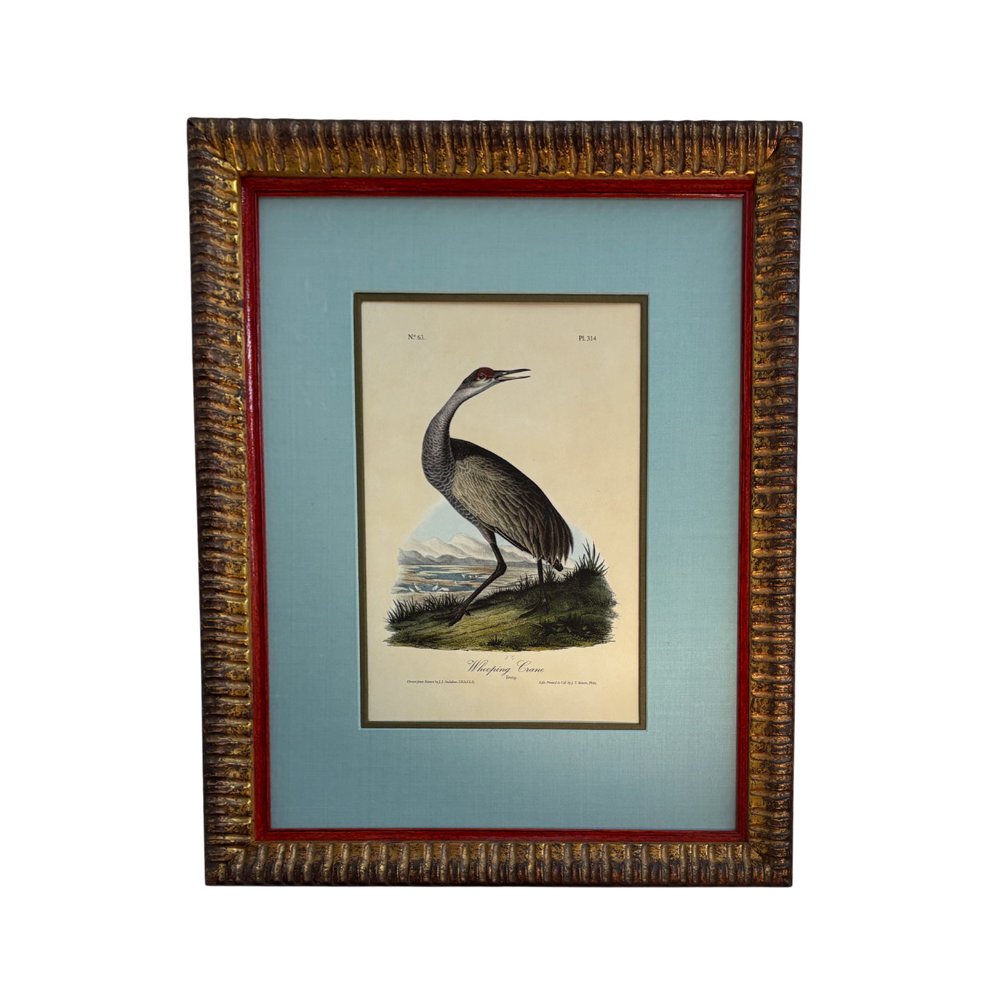 Curated Wall Art