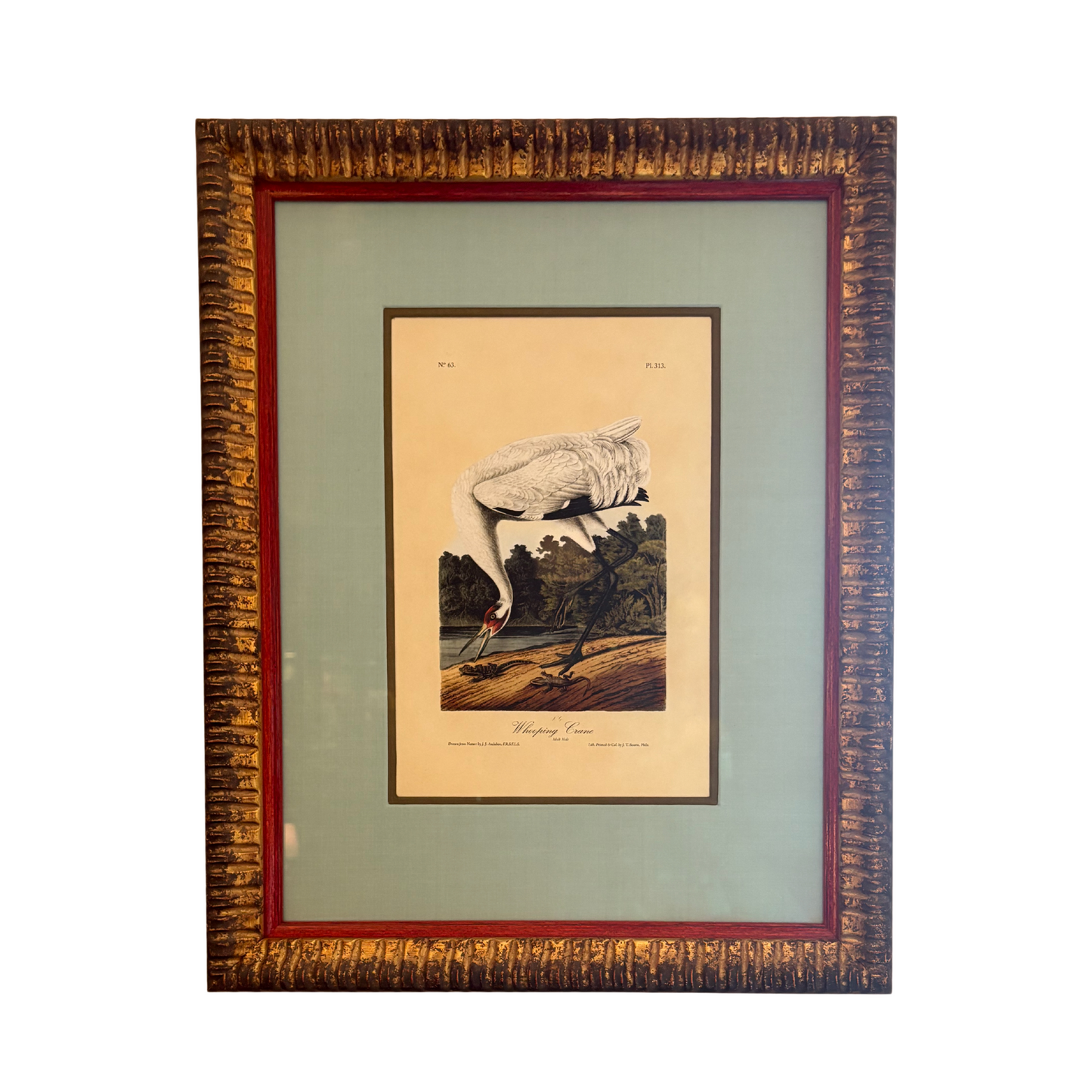 Curated Wall Art