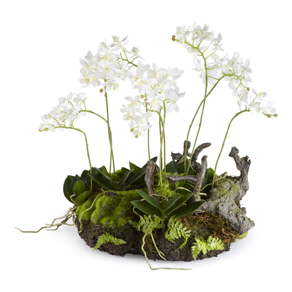 Mini Dendrobium with Rustic Drop-in