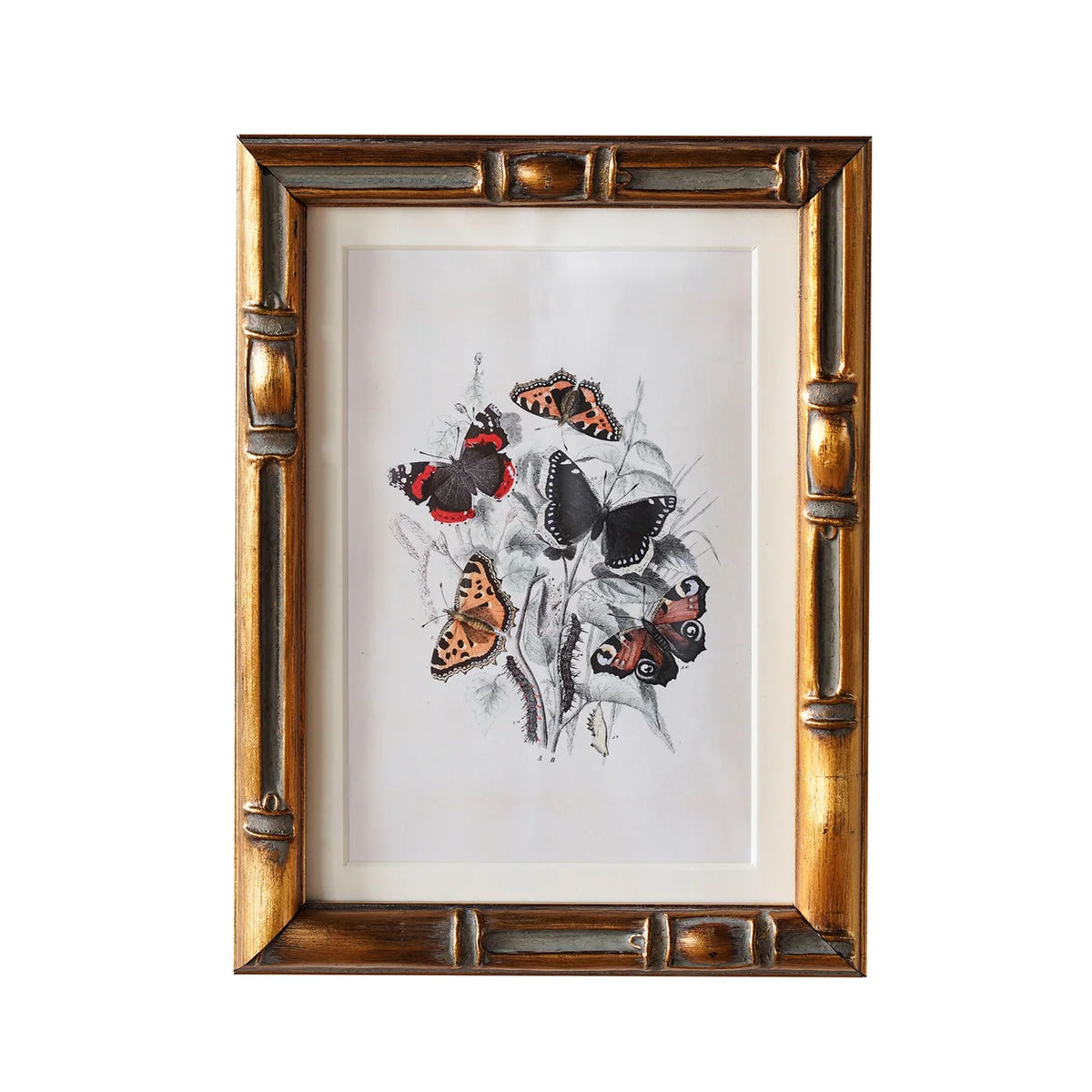 Burnley Frame
