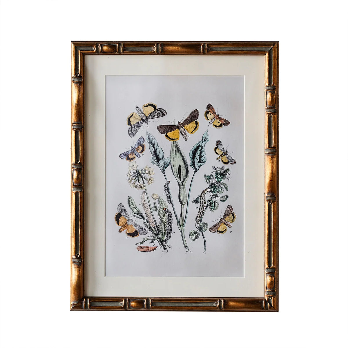 Burnley Frame