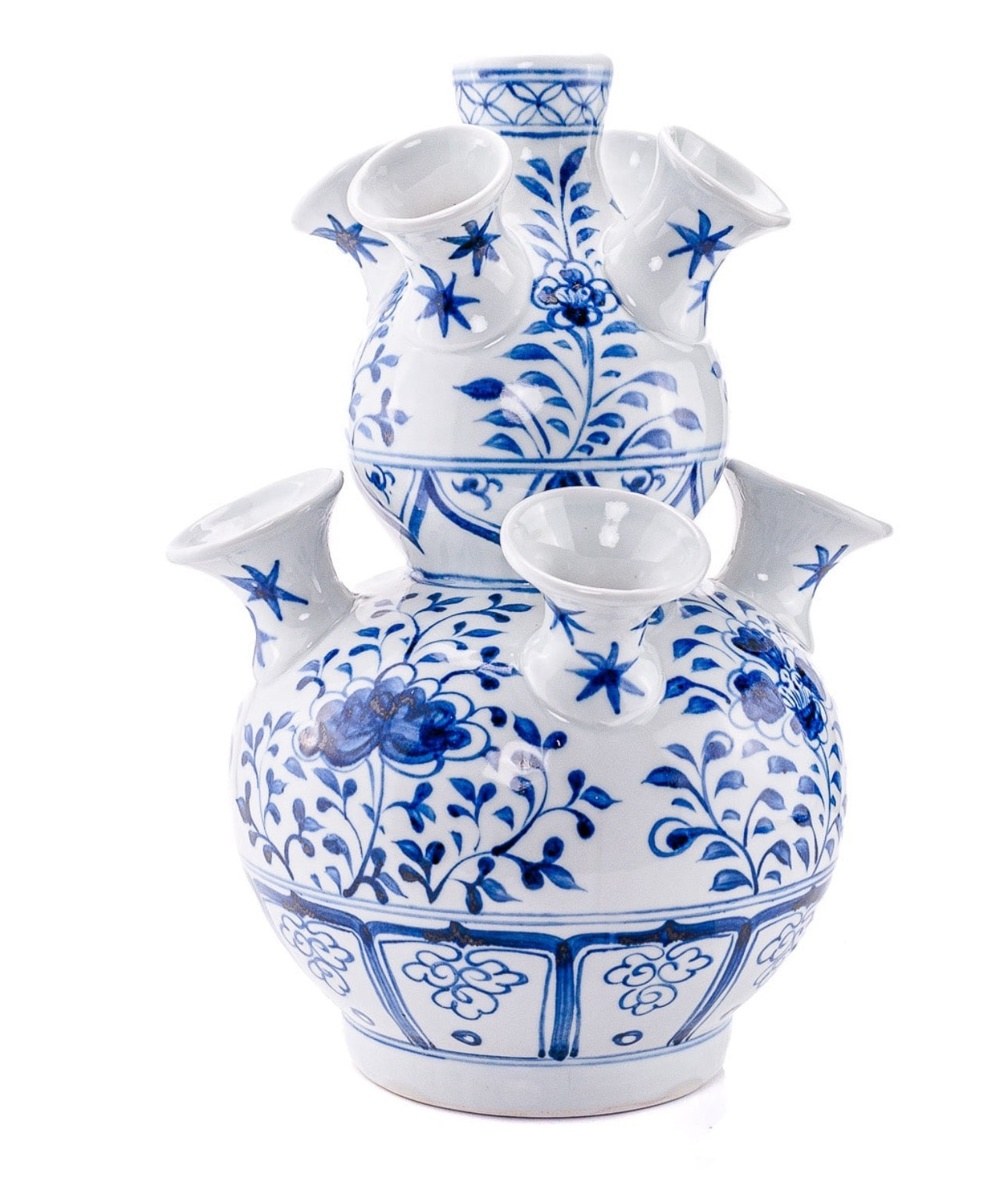 Blue and White Tulipia