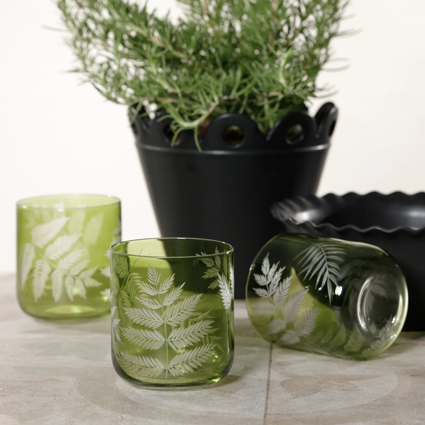 Fern Leaf Rock Glass