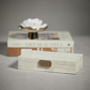 White Bone Box with Brass Closure