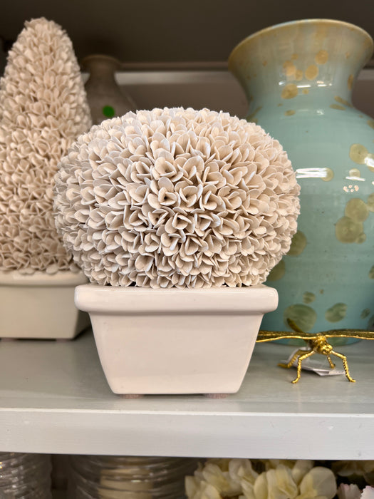 White Boston Round Boxwood Topiary
