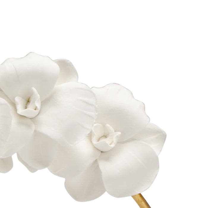 Orchid on Stand