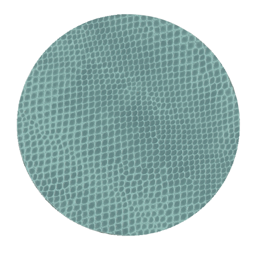 Round Snakeskin Coaster - Mist