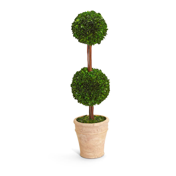 Preserved Boxwood Double Ball Topiary in Planter