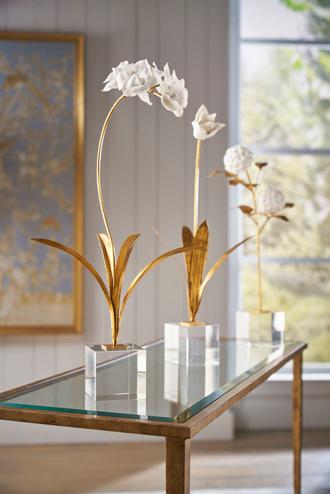 Orchid on Stand