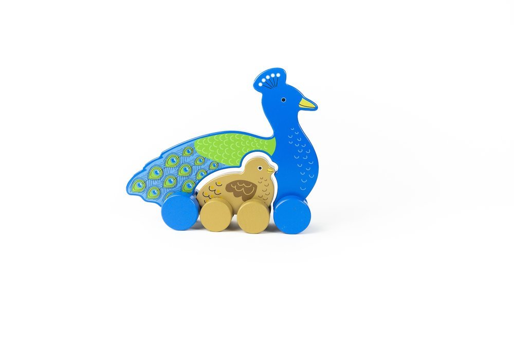 Mom and Baby Push Toys