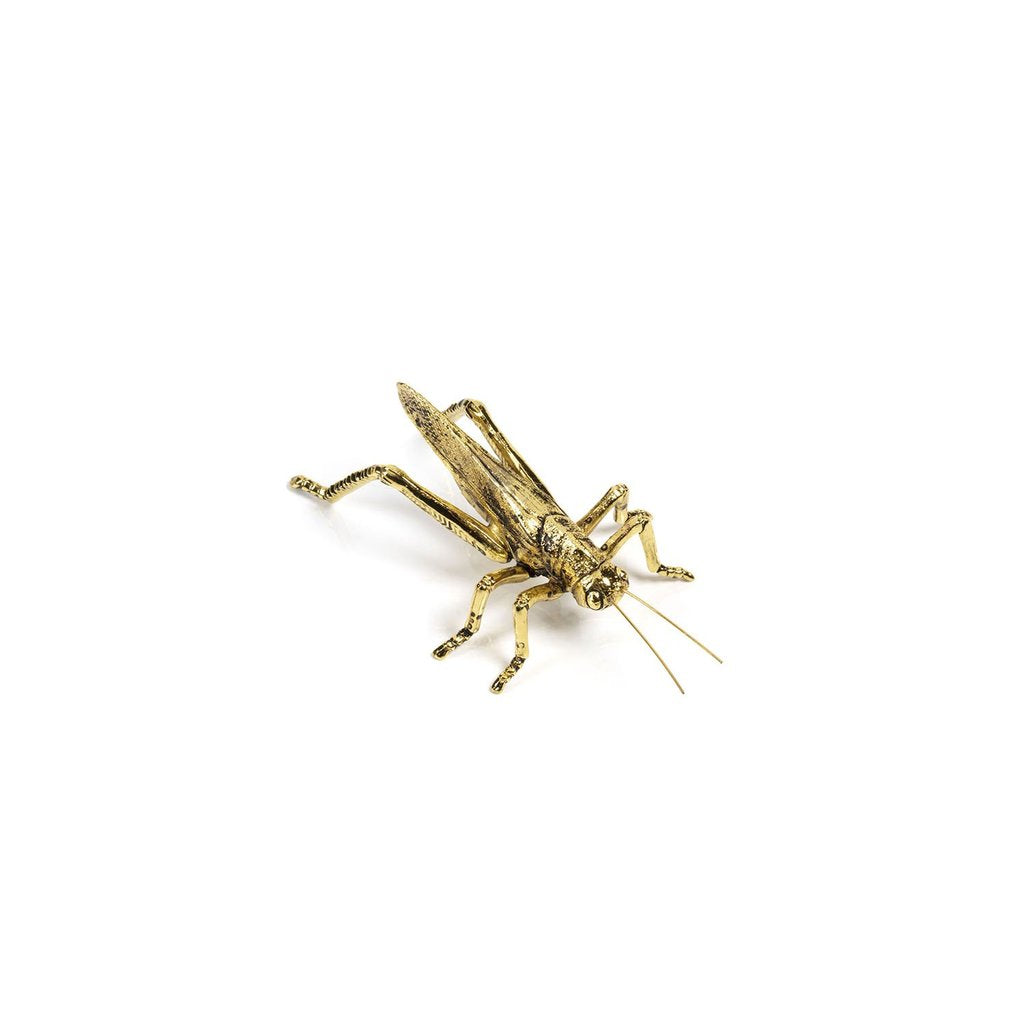 Decorative Gold Insect - Grasshopper – Syers Browning