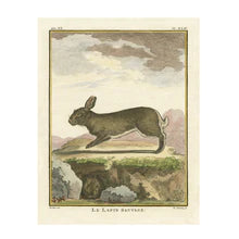 Comte de Buffon 19th Century Natural History Prints