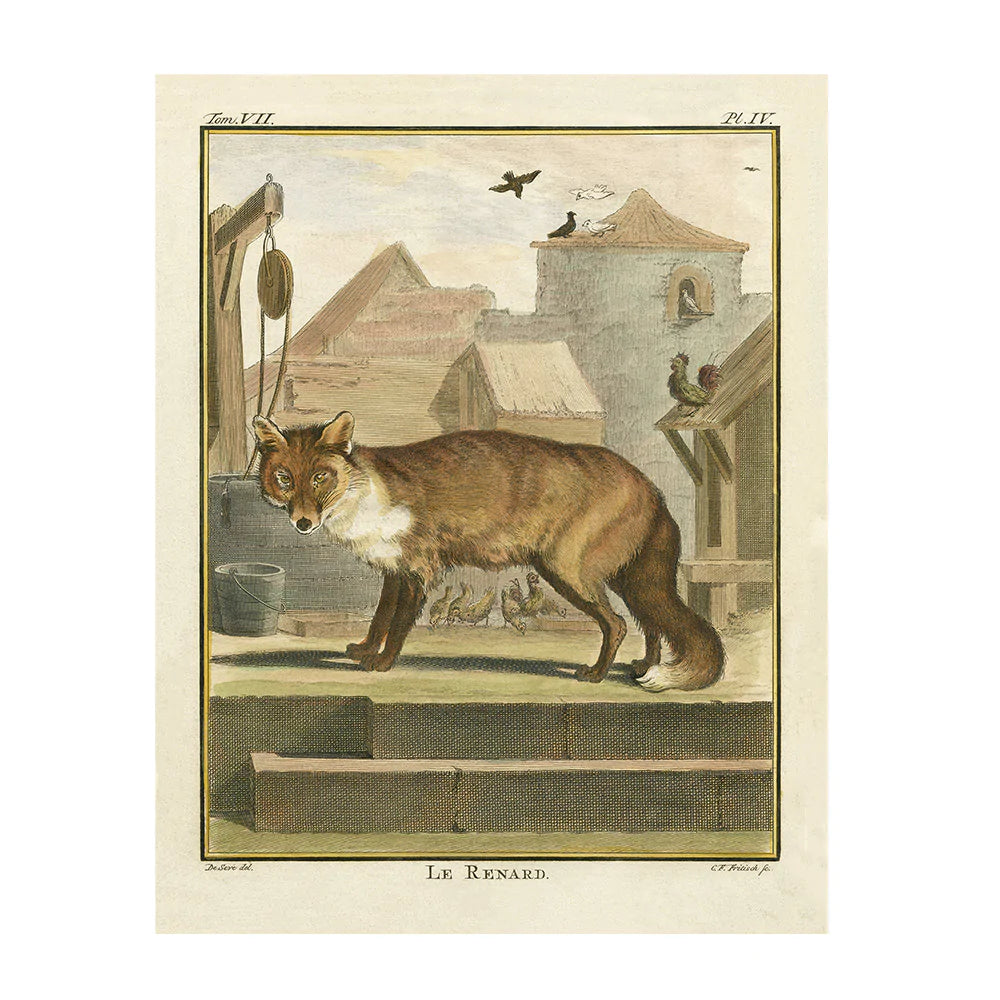 Comte de Buffon 19th Century Natural History Prints