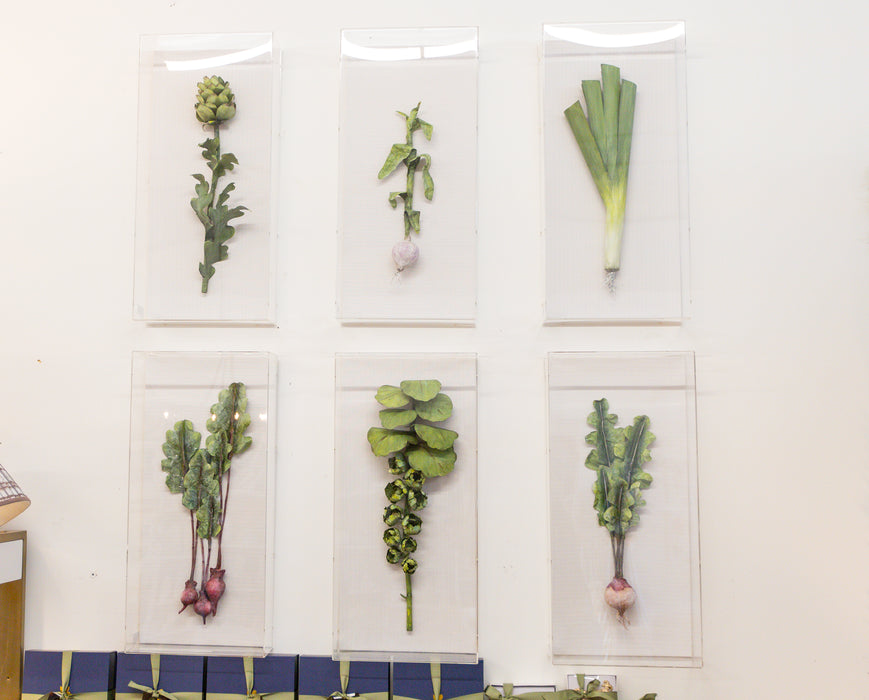 Large Vegetable Studies by Tommy Mitchell