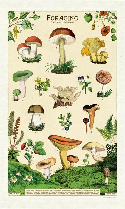 Tea Towels