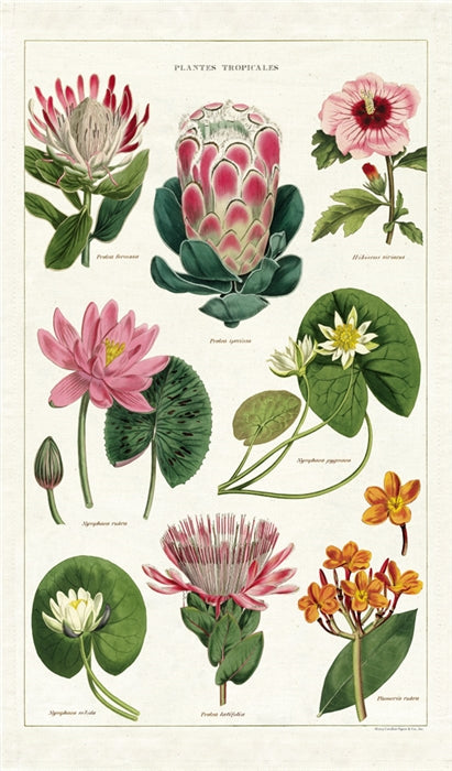 Tea Towels