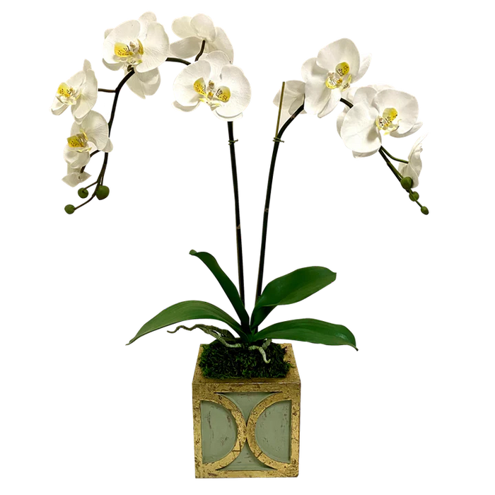 Wooden Mini Square Container w/Half Circle and Double Orchid