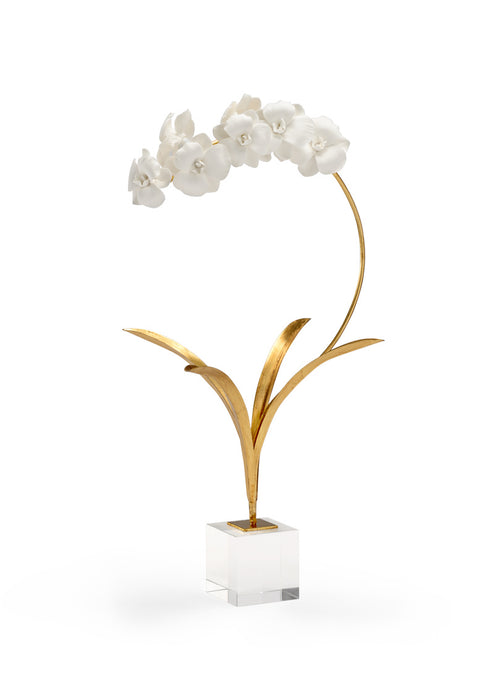 Orchid on Stand
