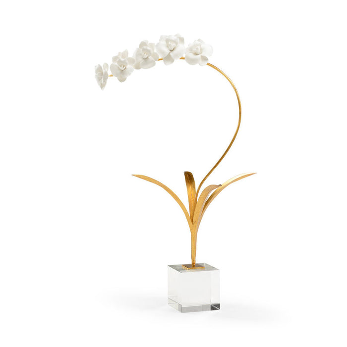 Small Orchid in Stand