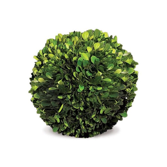 Preserved Boxwood Sphere